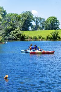 Three people kayaking on a blue lake with green trees and grass under a clear sky