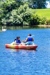 Two people in blue life jackets kayaking on a lake with a swan and green foliage nearby